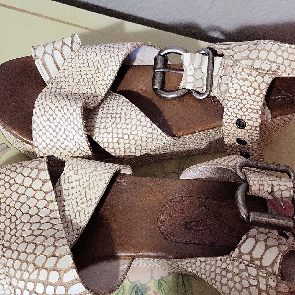 Free bird heels